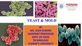 YEAST & MOLD
BY
MS. ALKA KUMARI
ASSISTANT PROFESSOR
DEPT. OF FOOD
TECHNOLOGY
VIGNAN’S UNIVERSITY
 