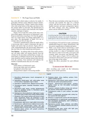 Benson: Microbiological
Applications Lab Manual,
Eighth Edition
II. Survey of
Microorganisms
10. The Fungi: Yeasts and
Molds
© The McGraw−Hill
Companies, 2001
has a low pH, which makes it selective for molds. A
good plate will have many different-colored colonies.
Note the characteristic “cottony” nature of the colonies.
Also, look at the bottom of the plate and observe how
the colonies differ in color here. The identification of
molds is based on surface color, backside color, hyphal
structure, and types of spores.
Figure 10.4 reveals how some of the more com-
mon molds appear when grown on Sabouraud’s agar.
Keep in mind when using figure 10.4 that the appear-
ance of a mold colony can change appreciably as it
gets older. The photographs in figure 10.4 are of
colonies that are 10 to 21 days old.
Conclusive identification cannot be made unless
a microscope slide is made to determine the type of
hyphae and spores that are present. Figure 10.5 re-
veals, diagrammatically, the microscopic differences
that one looks for when identifying mold genera.
Two Options In making slides from mold colonies,
one can make either wet mounts directly from the
colonies by the procedure outlined here or make cul-
tured slides as outlined in Exercise 26. The following
steps should be used for making stained slides directly
from the colonies. Your instructor will indicate the
number of identifications that are to be made.
Materials:
mold cultures on Sabouraud’s agar
microscope slides and cover glasses
lactophenol cotton blue stain
sharp-pointed scalpels or dissecting needles
1. Place the uncovered plate on the stage of your mi-
croscope and examine the edge of a colored
colony with the low-power objective. Look for
hyphal structure and spore arrangement. Ignore
the white colonies since they generally lack
spores and are difficult to identify.
2. Consult figures 10.4 and 10.5 to make a preliminary
identification based on colony characteristics and
low-power magnification of hyphae and spores.
3. Make a wet mount slide by transferring a small
amount of the culture with a sharp scalpel or dis-
secting needle to a drop of lactophenol cotton
blue stain on a slide. Cover with a cover glass and
examine under low-power and high-dry objec-
tives. Refer again to figure 10.5 to confirm any
conclusions drawn from your previous examina-
tion of the edge of the colony.
4. Repeat the above procedure for each different
colony.
LABORATORY REPORT
After recording your results on the Laboratory
Report, answer all the questions.
Exercise 10 • The Fungi: Yeasts and Molds
52
1. Penicillium—bluish-green; brush arrangement of
phialospores.
2. Aspergillus—bluish-green with sulfur-yellow areas
on the surface. Aspergillus niger is black.
3. Verticillium—pinkish-brown, elliptical microconidia.
4. Trichoderma—green, resemble Penicillium macro-
scopically.
5. Gliocadium—dark green; conidia (phialospores)
borne on phialides, similar to Penicillium; grows
faster than Penicillium.
6. Cladosporium (Hormodendrum)—light green to gray-
ish surface; gray to black back surface; blastoconidia.
7. Pleospora—tan to green surface with brown to black
back; ascospores shown are produced in sacs
borne within brown, flask-shaped fruiting bodies
called pseudothecia.
8 Scopulariopsis—light brown; rough-walled microconidia.
9. Paecilomyces—yellowish-brown; elliptical microconidia.
10. Alternaria—dark greenish-black surface with gray
periphery; black on reverse side; chains of macroconidia.
11. Bipolaris—black surface with grayish periphery;
macroconidia shown.
12. Pullularia—black, shiny, leathery surface; thick-
walled; budding spores.
13. Diplosporium—buff-colored wooly surface; reverse
side has red center surrounded by brown.
14. Oospora (Geotrichum)—buff-colored surface;
hyphae break up into thin-walled rectangular
arthrospores.
15. Fusarium—variants of yellow, orange, red, and pur-
ple colonies; sickle-shaped macroconidia.
16. Trichothecium—white to pink surface; two-celled
conidia.
17. Mucor—a zygomycete; sporangia with a slimy tex-
ture; spores with dark pigment.
18. Rhizopus—a zygomycete; spores with dark pigment.
19. Syncephalastrum—a zygomycete; sporangiophores
bear rod-shaped sporangioles, each containing a
row of spherical spores.
20. Nigrospora—conidia black, globose, one-celled,
borne on a flattened, colorless vesicle at the end of
a conidiophore.
21. Montospora—dark gray center with light gray
periphery; yellow-brown conidia.
Figure 10.5 Legend
CAUTION
Avoid leaving the cover off the mold culture plates
or disturbing the colonies very much. Dispersal of
mold spores to the air must be kept to a minimum.
 