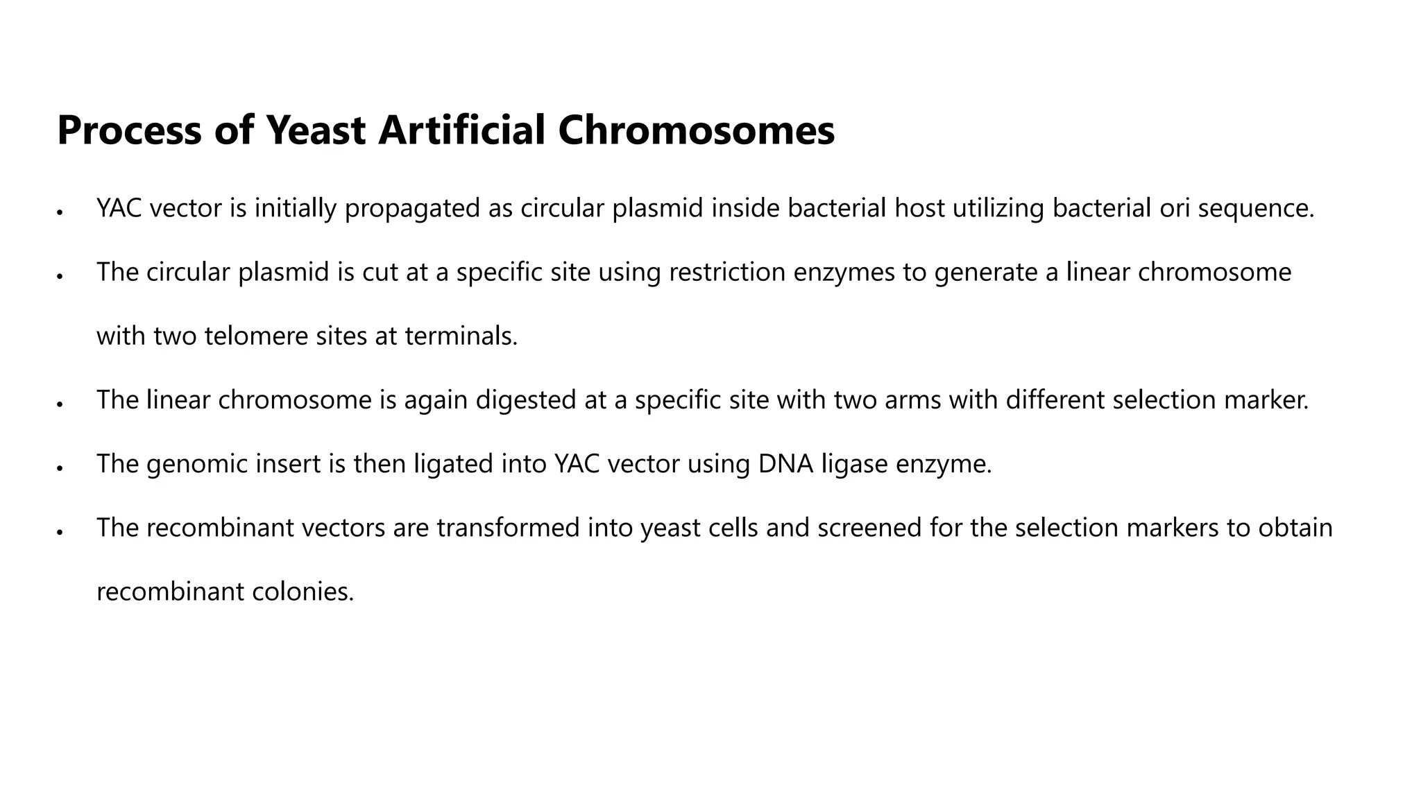 YEAST ARTIFICIAL CHROMOSOME.pptx