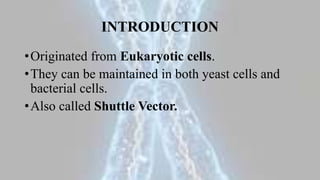 •Originated from Eukaryotic cells.
•They can be maintained in both yeast cells and
bacterial cells.
•Also called Shuttle Vector.
INTRODUCTION
 
