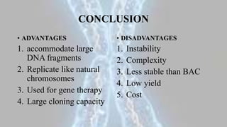 CONCLUSION
• ADVANTAGES
1. accommodate large
DNA fragments
2. Replicate like natural
chromosomes
3. Used for gene therapy
4. Large cloning capacity
• DISADVANTAGES
1. Instability
2. Complexity
3. Less stable than BAC
4. Low yield
5. Cost
 