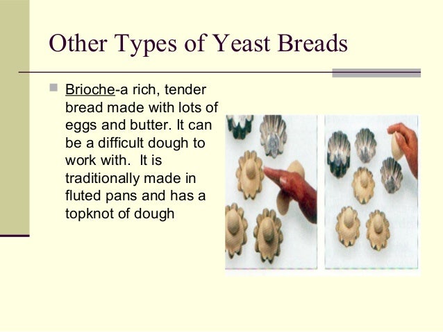 yeast breads ppt how yeast works in bread