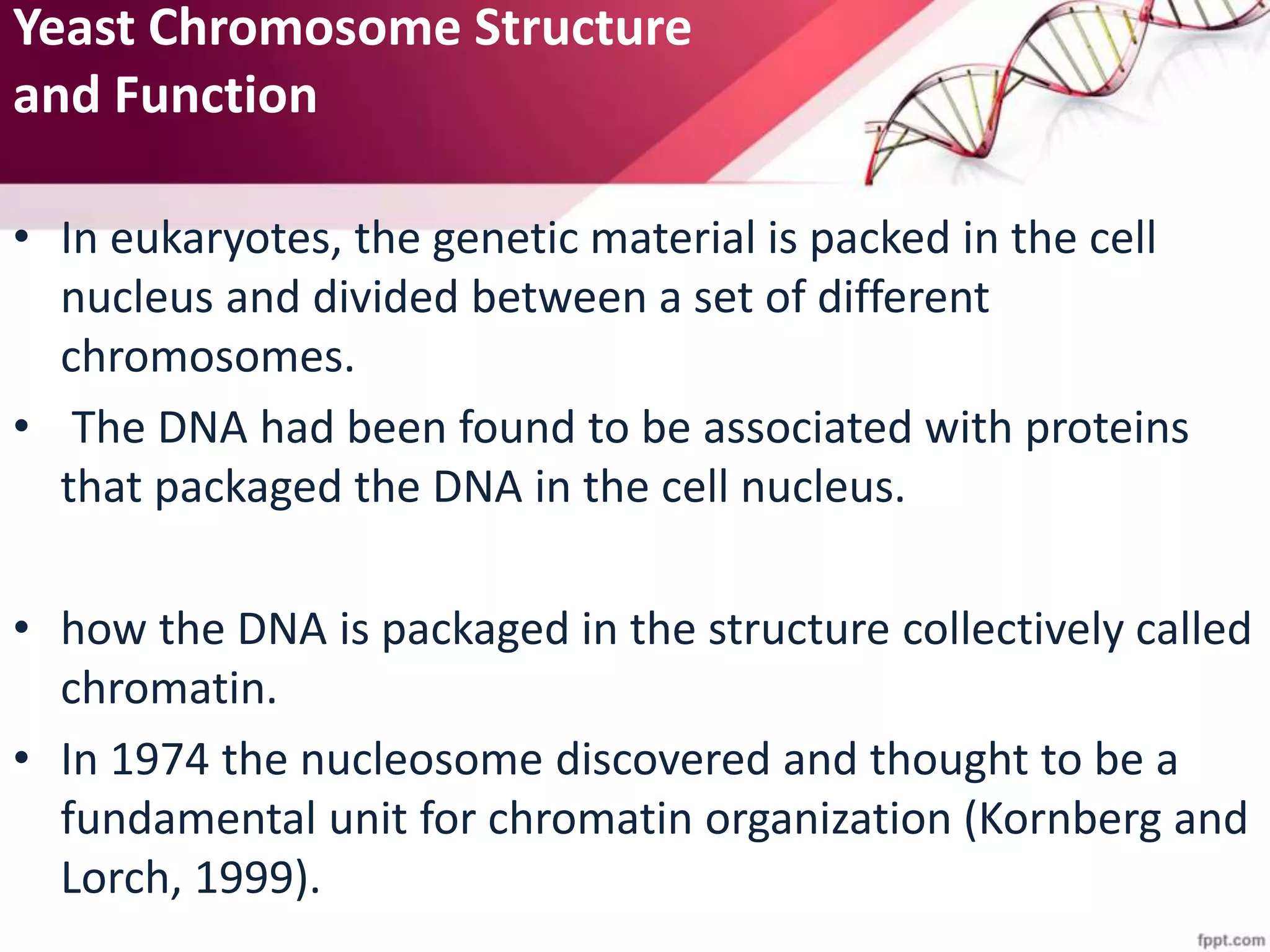 Yeast Chromosome Structure
and Function
• In eukaryotes, the genetic material is packed in the cell
nucleus and divided between a set of different
chromosomes.
• The DNA had been found to be associated with proteins
that packaged the DNA in the cell nucleus.
• how the DNA is packaged in the structure collectively called
chromatin.
• In 1974 the nucleosome discovered and thought to be a
fundamental unit for chromatin organization (Kornberg and
Lorch, 1999).
 