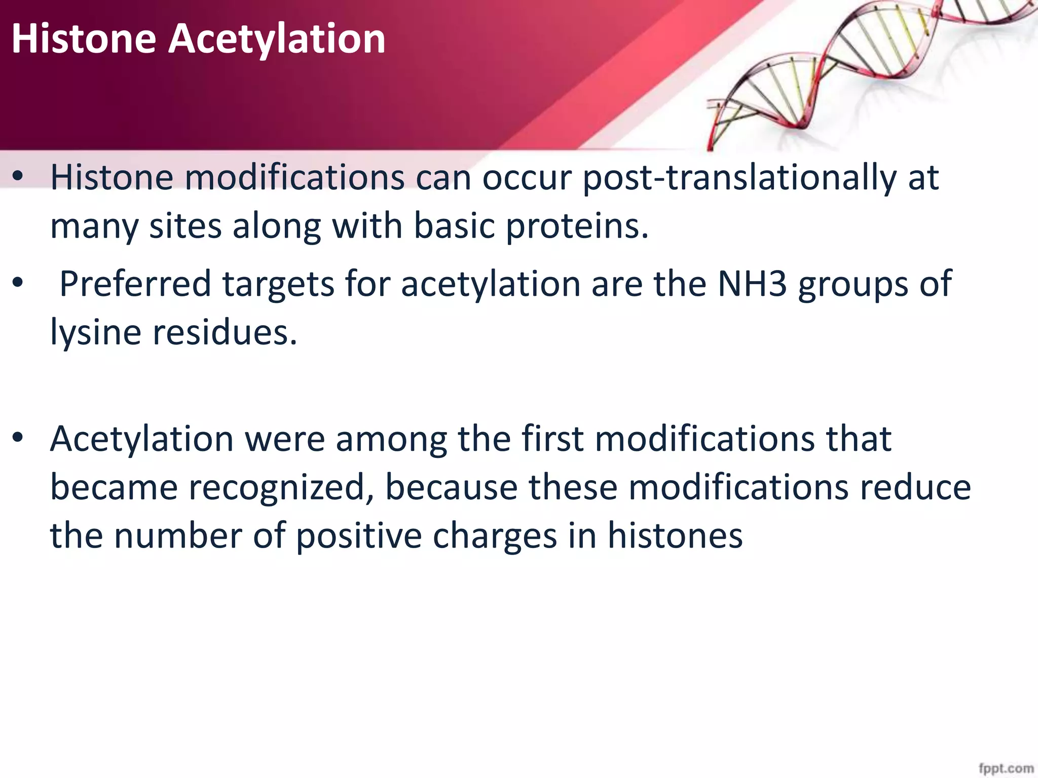 Histone Acetylation
• Histone modifications can occur post-translationally at
many sites along with basic proteins.
• Preferred targets for acetylation are the NH3 groups of
lysine residues.
• Acetylation were among the first modifications that
became recognized, because these modifications reduce
the number of positive charges in histones
 