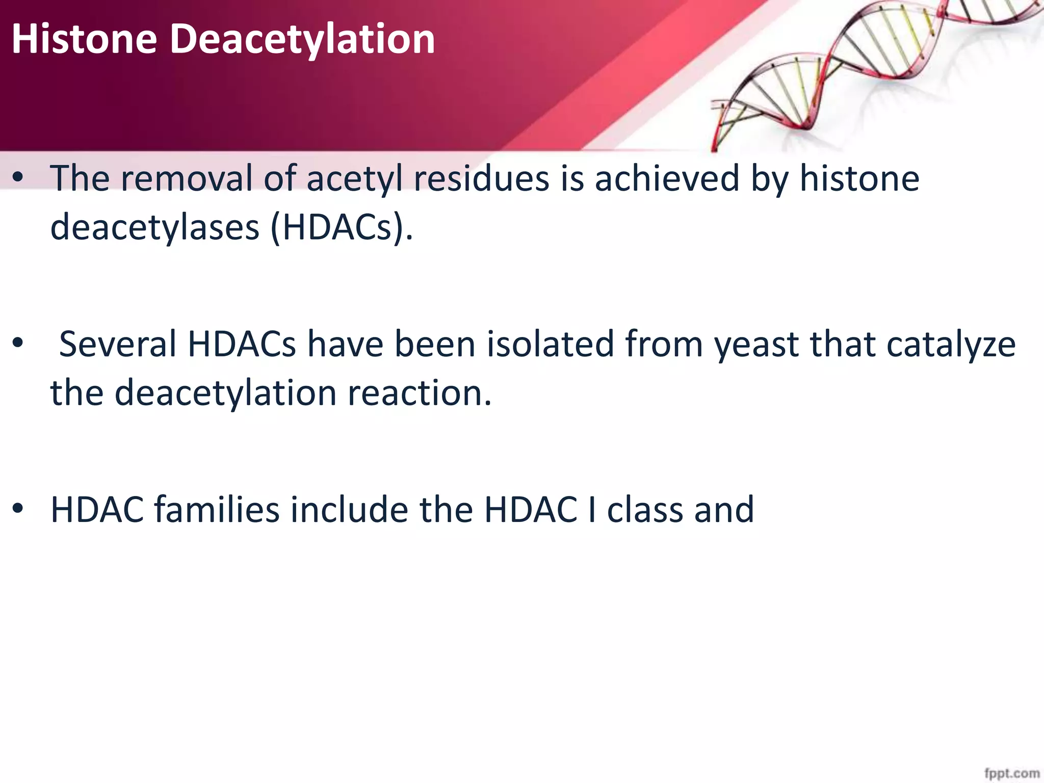 Histone Deacetylation
• The removal of acetyl residues is achieved by histone
deacetylases (HDACs).
• Several HDACs have been isolated from yeast that catalyze
the deacetylation reaction.
• HDAC families include the HDAC I class and
 