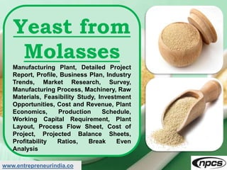 www.entrepreneurindia.co
Yeast from
Molasses
Manufacturing Plant, Detailed Project
Report, Profile, Business Plan, Industry
Trends, Market Research, Survey,
Manufacturing Process, Machinery, Raw
Materials, Feasibility Study, Investment
Opportunities, Cost and Revenue, Plant
Economics, Production Schedule,
Working Capital Requirement, Plant
Layout, Process Flow Sheet, Cost of
Project, Projected Balance Sheets,
Profitability Ratios, Break Even
Analysis
 