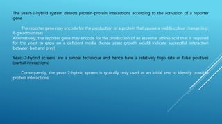 The yeast-2-hybrid system detects protein-protein interactions according to the activation of a reporter
gene
The reporter gene may encode for the production of a protein that causes a visible colour change (e.g.
ß-galactosidase)
Alternatively, the reporter gene may encode for the production of an essential amino acid that is required
for the yeast to grow on a deficient media (hence yeast growth would indicate successful interaction
between bait and prey)
Yeast-2-hybrid screens are a simple technique and hence have a relatively high rate of false positives
(partial interactions)
Consequently, the yeast-2-hybrid system is typically only used as an initial test to identify possible
protein interactions
 