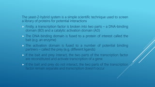 The yeast-2-hybrid system is a simple scientific technique used to screen
a library of proteins for potential interactions
 Firstly, a transcription factor is broken into two parts – a DNA-binding
domain (BD) and a catalytic activation domain (AD)
 The DNA-binding domain is fused to a protein of interest called the
bait (e.g. an enzyme)
 The activation domain is fused to a number of potential binding
partners – called the prey (e.g. different ligands)
 If the bait and prey interact, the two parts of the transcription factor
are reconstituted and activate transcription of a gene
 If the bait and prey do not interact, the two parts of the transcription
factor remain separate and transcription doesn’t occur
 