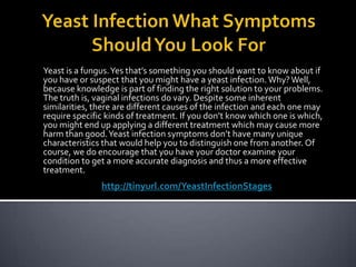 Yeast Infection What Symptoms Should You Look For  Yeast is a fungus. Yes that’s something you should want to know about if you have or suspect that you might have a yeast infection. Why? Well, because knowledge is part of finding the right solution to your problems. The truth is, vaginal infections do vary. Despite some inherent similarities, there are different causes of the infection and each one may require specific kinds of treatment. If you don’t know which one is which, you might end up applying a different treatment which may cause more harm than good. Yeast infection symptoms don’t have many unique characteristics that would help you to distinguish one from another. Of course, we do encourage that you have your doctor examine your condition to get a more accurate diagnosis and thus a more effective treatment.  http://tinyurl.com/YeastInfectionStages 