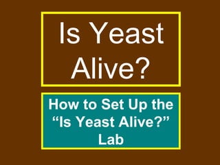 Is Yeast
Alive?
How to Set Up the
“Is Yeast Alive?”
Lab
 