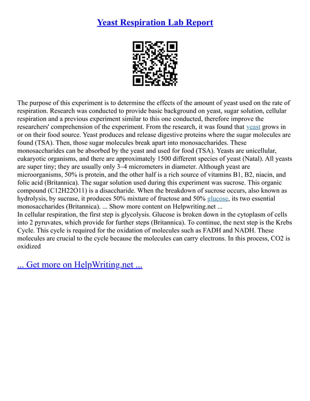 Yeast Respiration Lab Report PDF