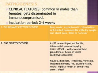 Yeasts of medical importance - Candida and Cryptococcus | PPT