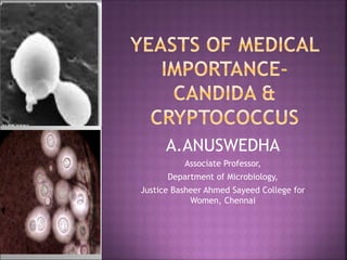 A.ANUSWEDHA
Associate Professor,
Department of Microbiology,
Justice Basheer Ahmed Sayeed College for
Women, Chennai
 