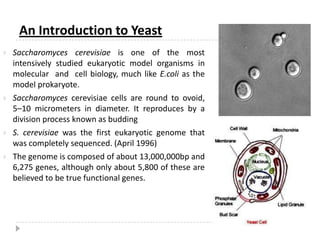 Allow for substrate channeling by moving a substrate between domains or subunits, resulting ultimately in an intended end product