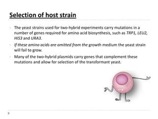 It bears a greater resemblance to higher eukaryotic systems than a system based on a bacterial host. 
