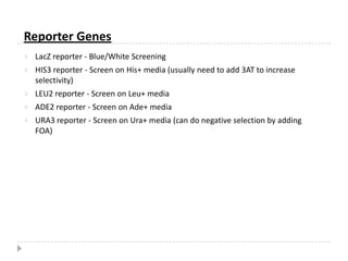 With regards to classical biochemical approaches, which can require high quantities of purified proteins or good quality anti-bodies, the two hybrid system has minimal requirements to initiate screening, since only the cDNA of the gene of interest is needed.In signaling cascades, weak and transient interactions are often very important. Such interactions are more readily detected with the two hybrid system since the reporter gene response often leads to significant amplification. 