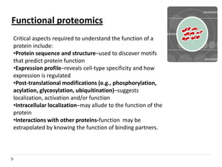 Functional proteomicsCritical aspects required to understand the function of a protein include:Protein sequence and structure–used to discover motifs that predict protein function