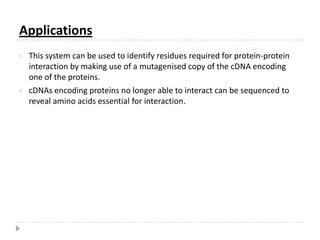 Overall summary of Yeast two-hybrid experimentYeast two-hybrid experiments yield information on protein protein interactions
