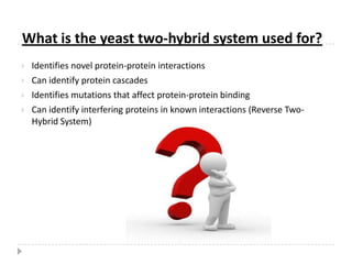 GAL4 Binding Domain
