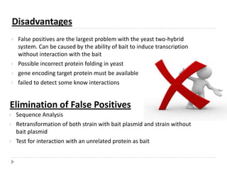 X and Y are two proteins of interest