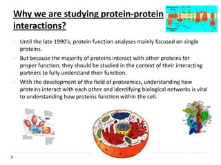Expression profile–reveals cell-type specificity and how expression is regulated