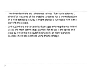 With the development of the field of proteomics, understanding how proteins interact with each other and identifying biological networks is vital to understanding how proteins function within the cell.Biological effects of protein-protein interactionsAlter the kinetic properties of enzymes, which may be the result of subtle changes in substrate binding or allosteric effects