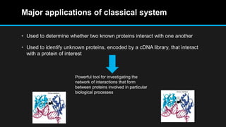 Major applications of classical system
• Used to determine whether two known proteins interact with one another
• Used to identify unknown proteins, encoded by a cDNA library, that interact
with a protein of interest
Powerful tool for investigating the
network of interactions that form
between proteins involved in particular
biological processes
 