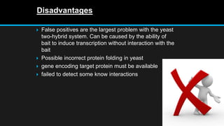 Disadvantages
 False positives are the largest problem with the yeast
two-hybrid system. Can be caused by the ability of
bait to induce transcription without interaction with the
bait
 Possible incorrect protein folding in yeast
 gene encoding target protein must be available
 failed to detect some know interactions
 