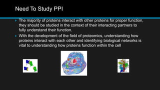 Need To Study PPI
 The majority of proteins interact with other proteins for proper function,
they should be studied in the context of their interacting partners to
fully understand their function.
 With the development of the field of proteomics, understanding how
proteins interact with each other and identifying biological networks is
vital to understanding how proteins function within the cell
 