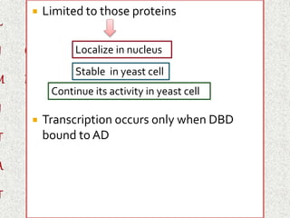  Limited to those proteins 
Localize in nucleus 
Stable in yeast cell 
Continue its activity in yeast cell 
 Transcription occurs only when DBD 
bound to AD 
 