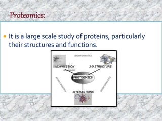  It is a large scale study of proteins, particularly 
their structures and functions. 
 