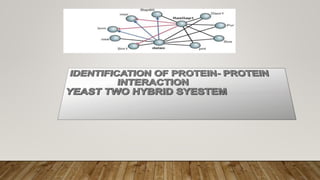 Yeast two hybrid system by Mazhar khan | PPTX