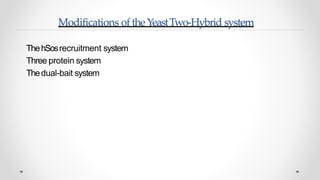 Yeast two hybrid system by Mazhar khan | PPTX