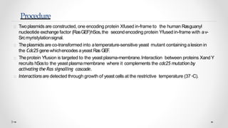 Yeast two hybrid system by Mazhar khan | PPTX