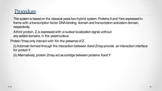 Yeast two hybrid system by Mazhar khan | PPTX