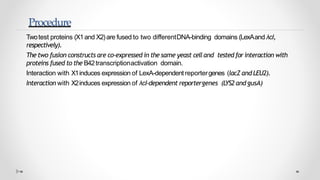 Yeast two hybrid system by Mazhar khan | PPTX