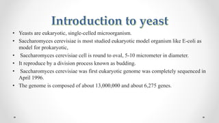 Yeast two hybrid system by Mazhar khan | PPTX
