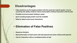 Disadvantages
 False positives are the largest problem with the yeast two-hybrid system. Can be
caused by the ability of bait to induce transcription without interaction with the bait
 Possible incorrect protein folding in yeast
 gene encoding target protein must be available
 failed to detect some know interactions
 Elimination of False Positives
 Sequence Analysis
 Retransformation of both strain with bait plasmid and strain without bait plasmid
 Test for interaction with an unrelated protein as bait
 