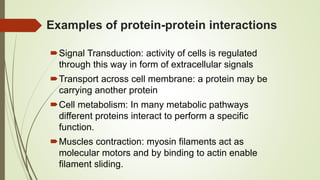 Examples of protein-protein interactions
Signal Transduction: activity of cells is regulated
through this way in form of extracellular signals
Transport across cell membrane: a protein may be
carrying another protein
Cell metabolism: In many metabolic pathways
different proteins interact to perform a specific
function.
Muscles contraction: myosin filaments act as
molecular motors and by binding to actin enable
filament sliding.
 