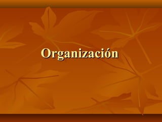 OrganizaciónOrganización
 