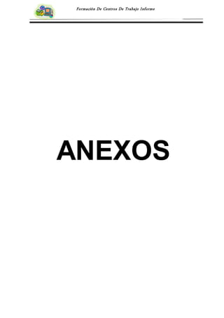 Formación De Centros De Trabajo Informe
ANEXOS
FASES
 