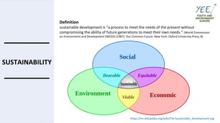 YEE webinar - Sustainability in NGOs
