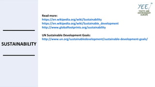 YEE webinar - Sustainability in NGOs
