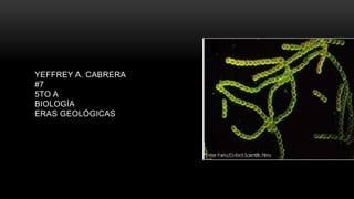 YEFFREY A. CABRERA
#7
5TO A
BIOLOGÍA
ERAS GEOLÓGICAS
 