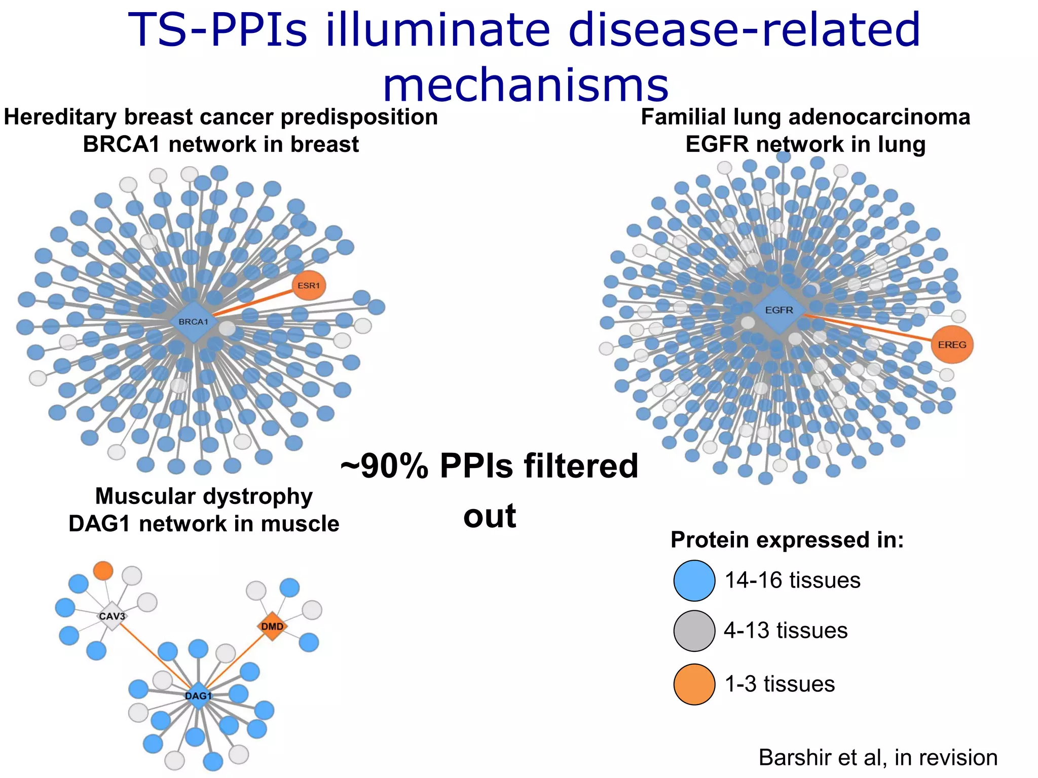 TS-PPIs illuminate disease-related
mechanisms
Hereditary breast cancer predisposition
BRCA1 network in breast
Familial lung adenocarcinoma
EGFR network in lung
Muscular dystrophy
DAG1 network in muscle
14-16 tissues
4-13 tissues
1-3 tissues
Protein expressed in:
~90% PPIs filtered
out
Barshir et al, in revision
 