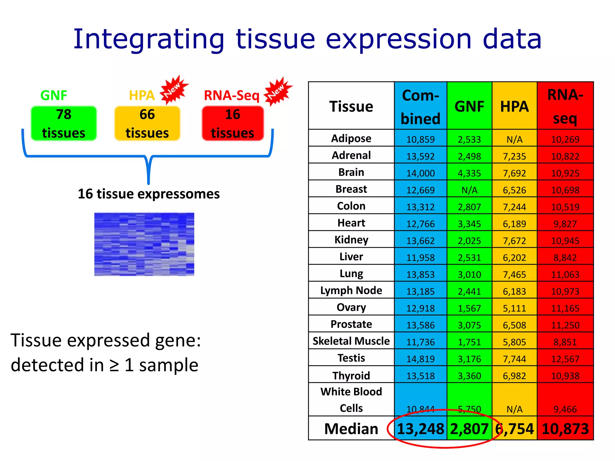 66
tissues
78
tissues
GNF HPA RNA-Seq
16
tissues
16 tissue expressomes
Integrating tissue expression data
Tissue
Com-
bined
GNF HPA
RNA-
seq
Adipose 10,859 2,533 N/A 10,269
Adrenal 13,592 2,498 7,235 10,822
Brain 14,000 4,335 7,692 10,925
Breast 12,669 N/A 6,526 10,698
Colon 13,312 2,807 7,244 10,519
Heart 12,766 3,345 6,189 9,827
Kidney 13,662 2,025 7,672 10,945
Liver 11,958 2,531 6,202 8,842
Lung 13,853 3,010 7,465 11,063
Lymph Node 13,185 2,441 6,183 10,973
Ovary 12,918 1,567 5,111 11,165
Prostate 13,586 3,075 6,508 11,250
Skeletal Muscle 11,736 1,751 5,805 8,851
Testis 14,819 3,176 7,744 12,567
Thyroid 13,518 3,360 6,982 10,938
White Blood
Cells 10,844 5,750 N/A 9,466
Median 13,248 2,807 6,754 10,873
Tissue expressed gene:
detected in ≥ 1 sample
 