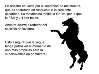 En anestro causada por la secreción de melatonina, que es secretada en respuesta a la creciente oscuridad. La melatonina inhibe la GnRH, por lo que la FSH y LH son bajos. Anestro ocurre alrededor del solsticio de invierno. Esto asegura que la yegua tenga potros en el momento del año más propicias para la supervivencia (la primavera) 