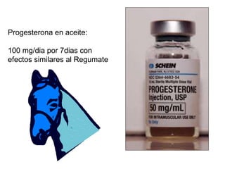 Progesterona en aceite: 100 mg/dia por 7dias con efectos similares al Regumate 