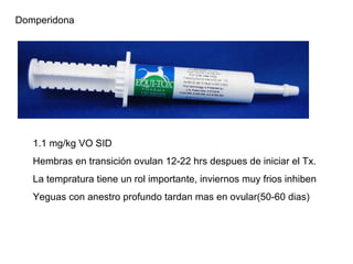 Domperidona 1.1 mg/kg VO SID Hembras en transición ovulan 12-22 hrs despues de iniciar el Tx. La tempratura tiene un rol importante, inviernos muy frios inhiben Yeguas con anestro profundo tardan mas en ovular(50-60 dias) 
