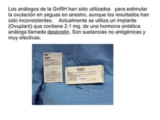 Los análogos de la GnRH han sido utilizados  para estimular la ovulación en yeguas en anestro, aunque los resultados han sido inconsistentes.  Actualmente se utiliza un implante (Ovuplant) que contiene 2.1 mg. de una hormona sintética análoga llamada  deslorelin . Son sustancias no antigénicas y muy efectivas. 